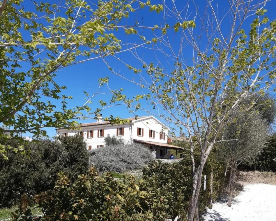 בית הארחה Castelleone di Suasa 	Rustico Del Bozzo מראה חיצוני תמונה
