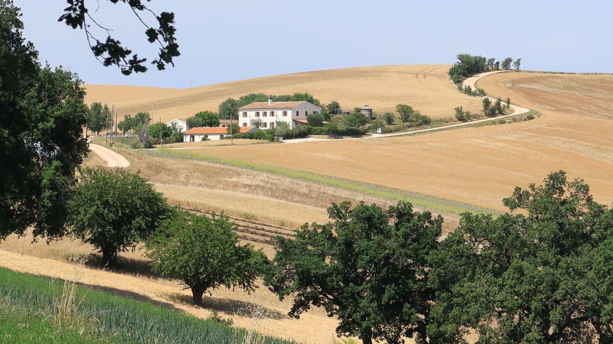 בית הארחה Castelleone di Suasa 	Rustico Del Bozzo מראה חיצוני תמונה